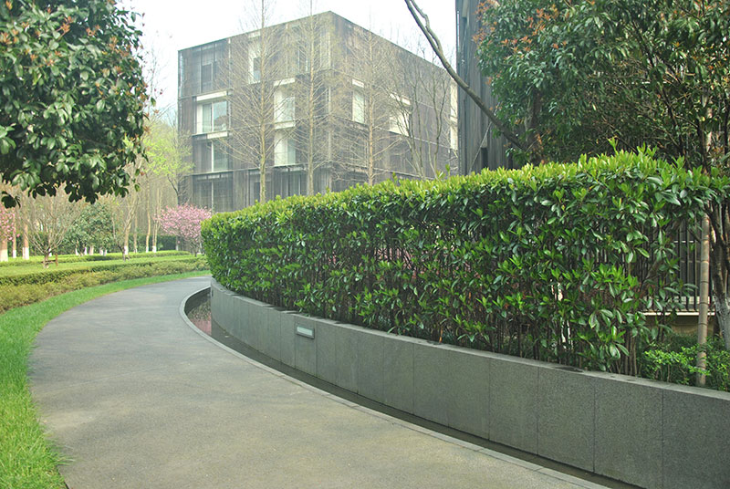 小區(qū)2.jpg
